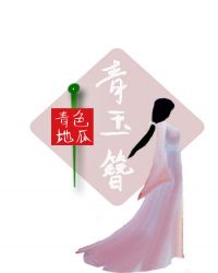 青玉簪小说封面