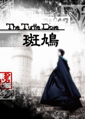 The Turtle Dove～斑鸠～封面