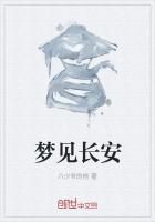梦见长安
